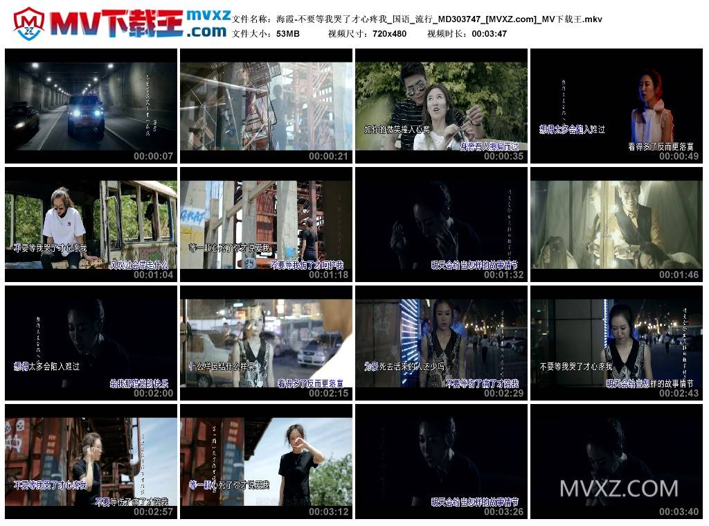 海霞-不要等我哭了才心疼我_国语_流行_MD303747